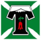 Deportes Temuco (W)